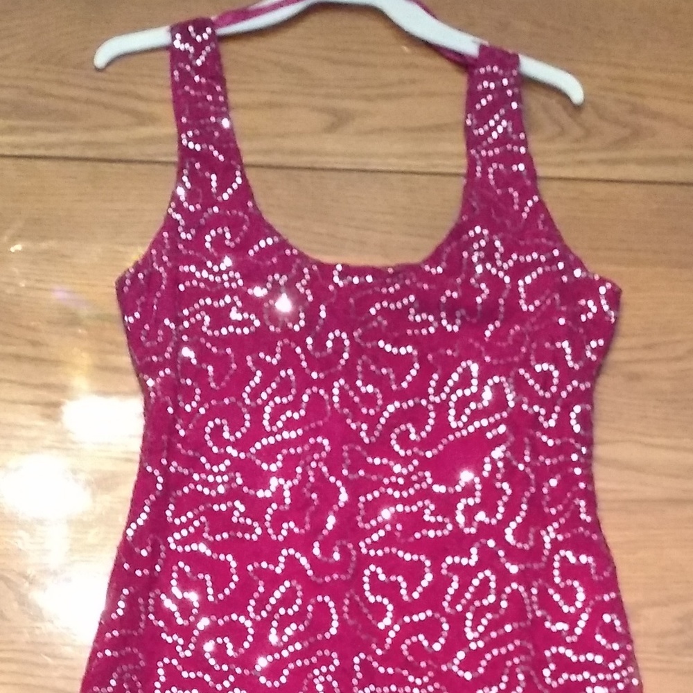 Fushia Bodycon Sequin Dress